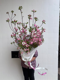Dogwood En Masse