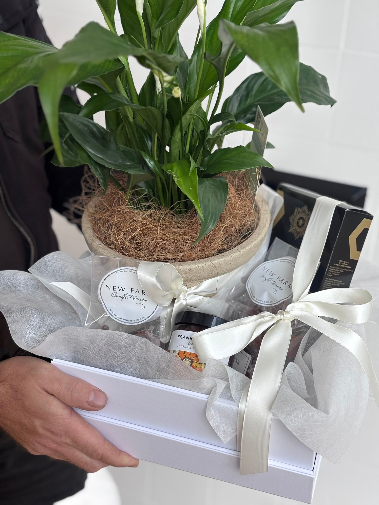 Plant Hamper