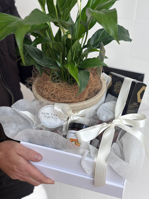 Plant Hamper