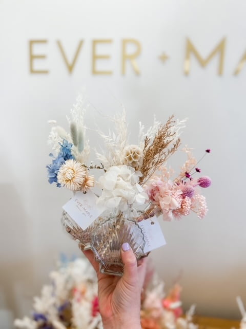 Preserved Shelfie (Assorted Colours)