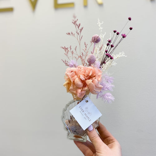 Preserved Shelfie (Assorted Colours)