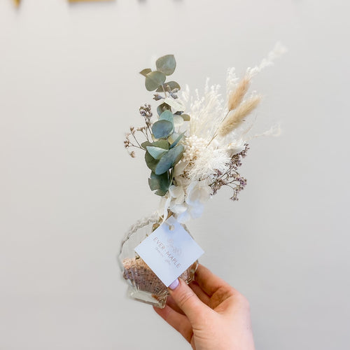 Preserved Shelfie (Assorted Colours)