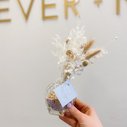 Preserved Shelfie (Assorted Colours)