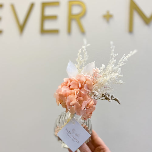 Preserved Shelfie (Assorted Colours)