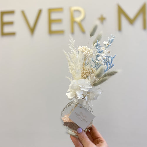 Preserved Shelfie (Assorted Colours)