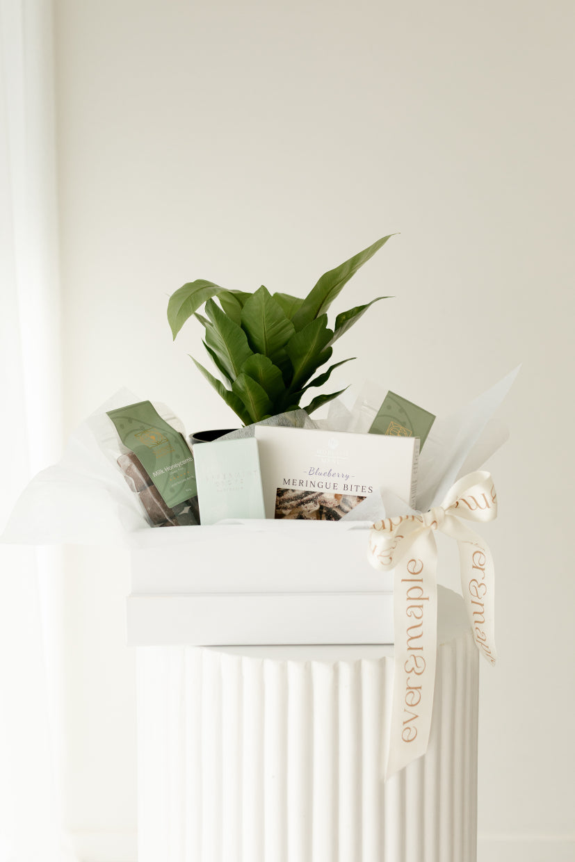 Plant Hamper