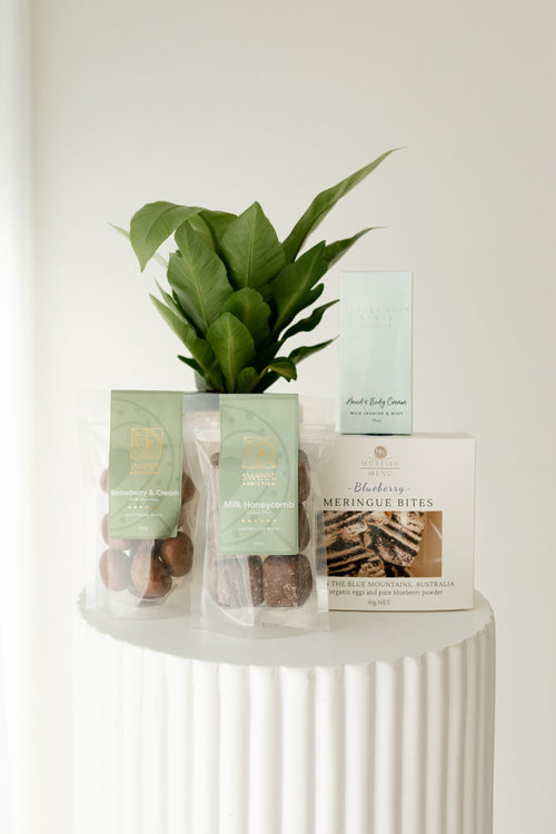 Plant Hamper