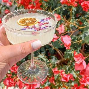 Mr Consistent - Margarita Mixer